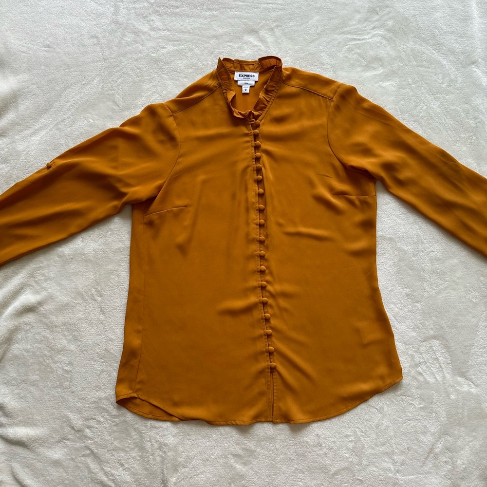 Express Dark Orange Long Sleeve Blouse